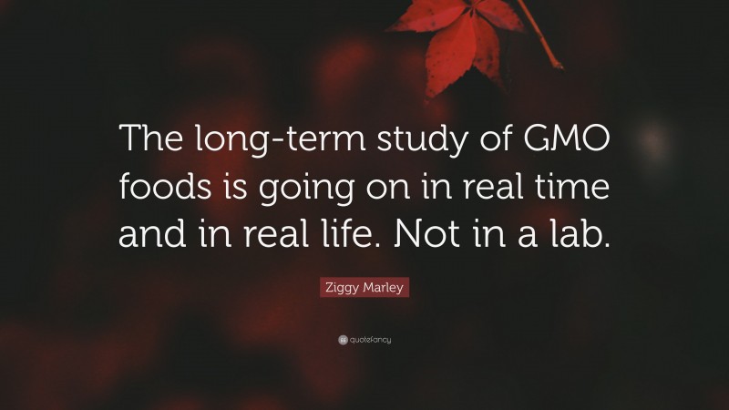 Ziggy Marley Quote: “The long-term study of GMO foods is going on in real time and in real life. Not in a lab.”