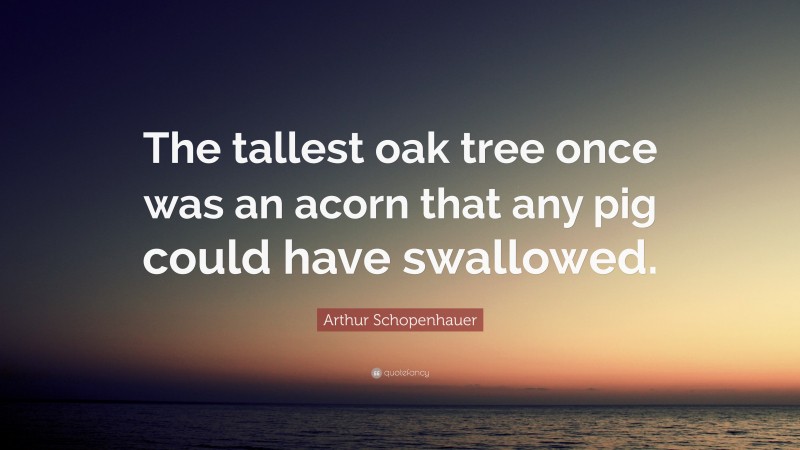 Arthur Schopenhauer Quote: “The tallest oak tree once was an acorn that any pig could have swallowed.”