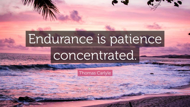 Thomas Carlyle Quote: “Endurance is patience concentrated.”