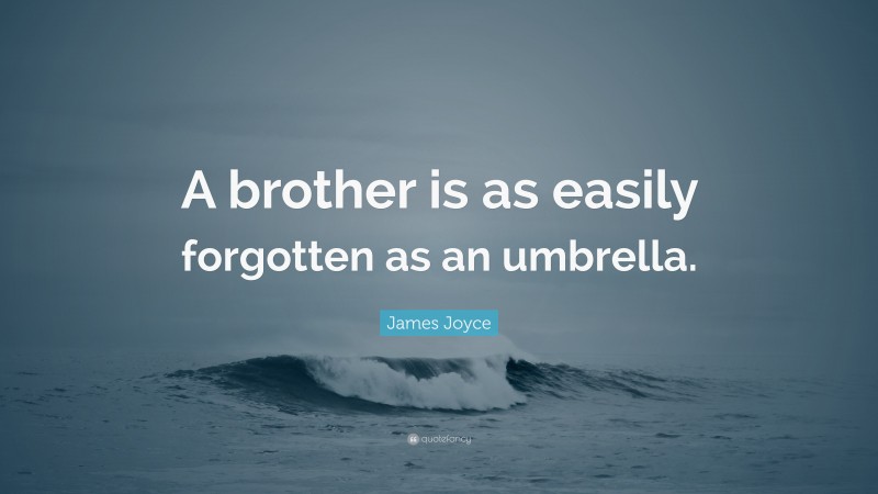 James Joyce Quote: “A brother is as easily forgotten as an umbrella.”
