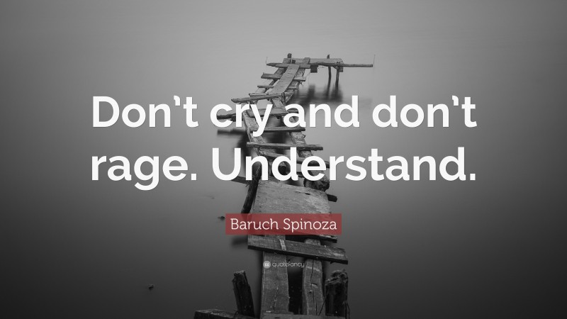 Baruch Spinoza Quote: “Don’t cry and don’t rage. Understand.”