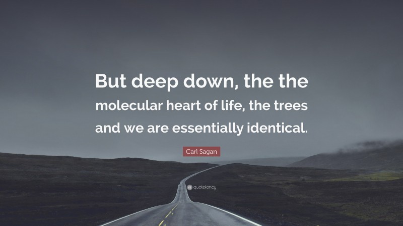 Carl Sagan Quote: “But deep down, the the molecular heart of life, the trees and we are essentially identical.”