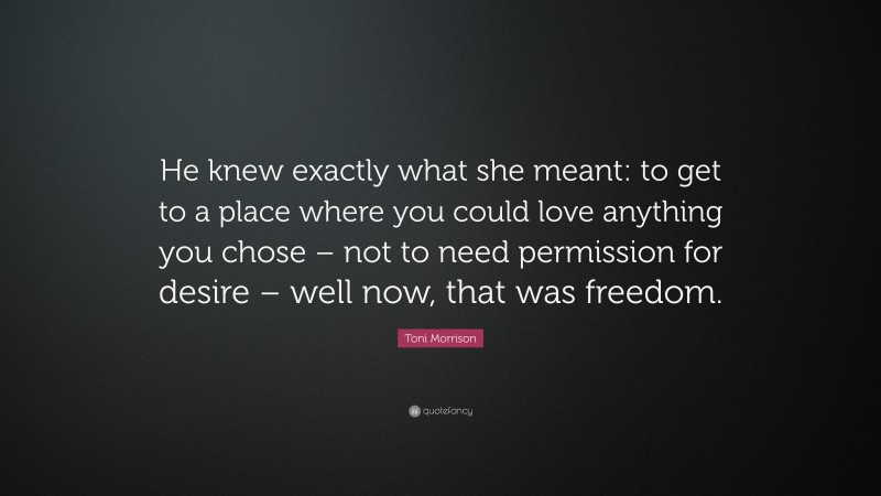 Toni Morrison Quote: “He knew exactly what she meant: to get to a place where you could love anything you chose – not to need permission for desire – well now, that was freedom.”