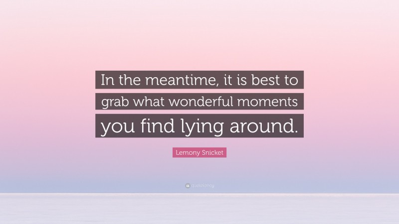 Lemony Snicket Quote: “In the meantime, it is best to grab what wonderful moments you find lying around.”