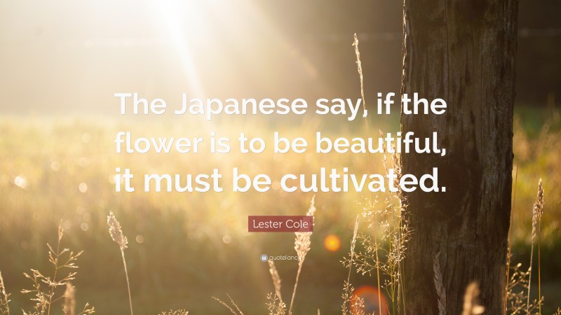 Lester Cole Quote: “The Japanese say, if the flower is to be beautiful, it must be cultivated.”