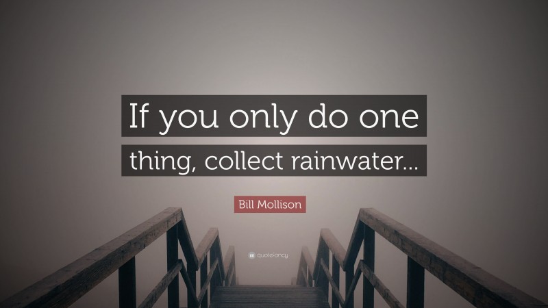 Bill Mollison Quote: “If you only do one thing, collect rainwater...”