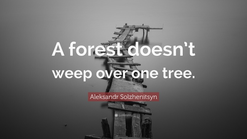 Aleksandr Solzhenitsyn Quote: “A forest doesn’t weep over one tree.”