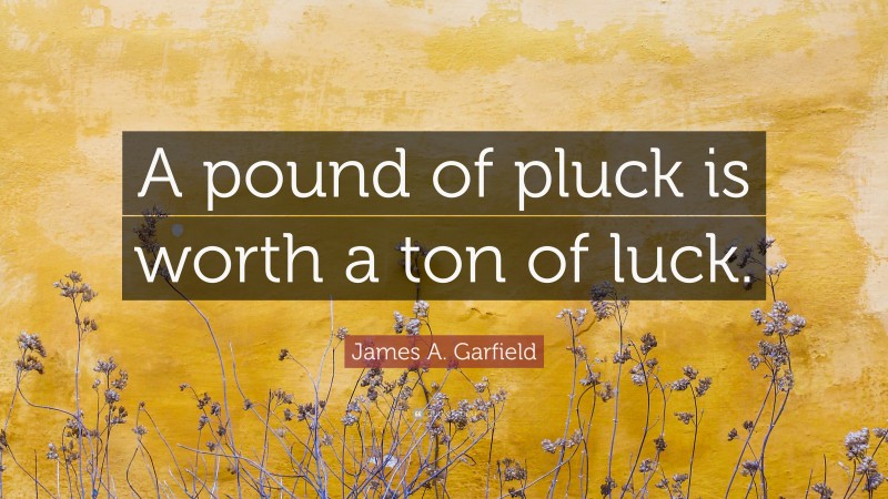 James A. Garfield Quote: “A pound of pluck is worth a ton of luck.”