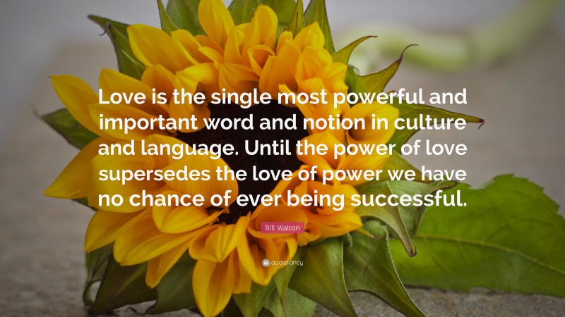 Bill Walton Quote: “Love is the single most powerful and important word and notion in culture and language. Until the power of love supersedes the love of power we have no chance of ever being successful.”