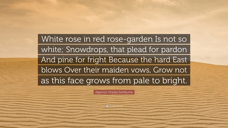 Algernon Charles Swinburne Quote: “White rose in red rose-garden Is not so white; Snowdrops, that plead for pardon And pine for fright Because the hard East blows Over their maiden vows, Grow not as this face grows from pale to bright.”