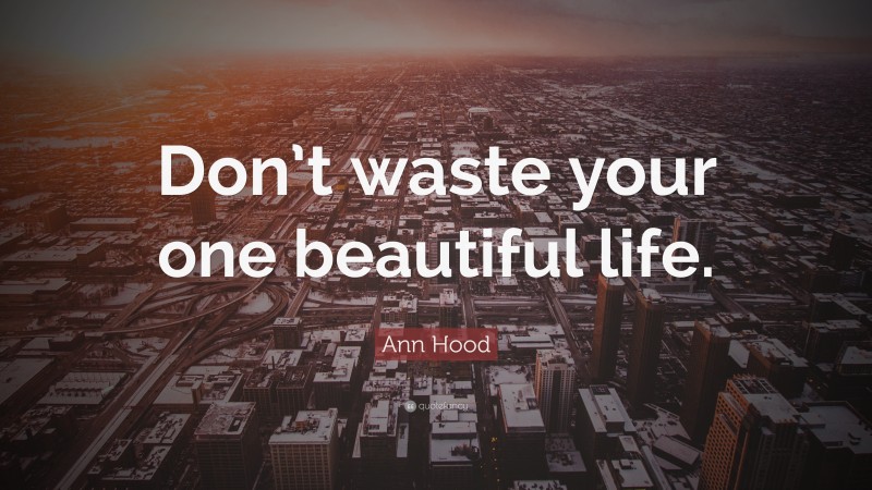 Ann Hood Quote: “Don’t waste your one beautiful life.”