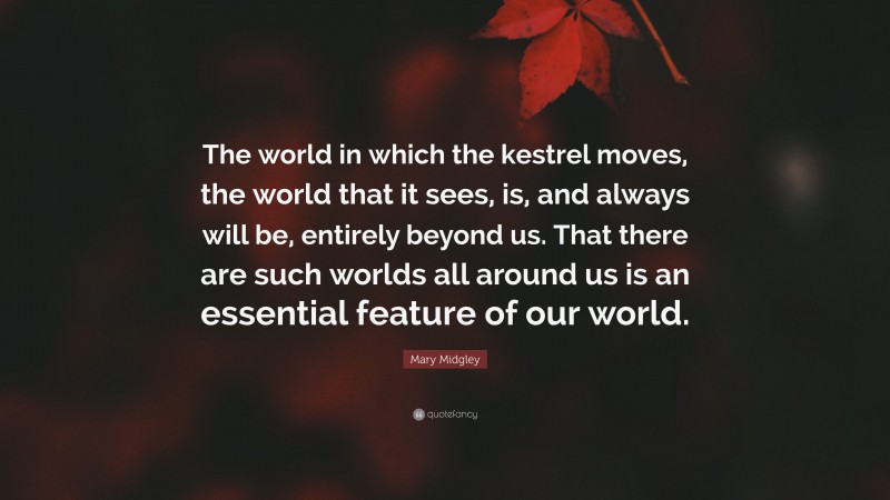 Mary Midgley Quote: “The world in which the kestrel moves, the world that it sees, is, and always will be, entirely beyond us. That there are such worlds all around us is an essential feature of our world.”