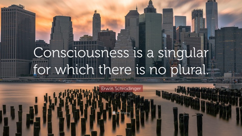 Erwin Schrödinger Quote: “Consciousness is a singular for which there is no plural.”