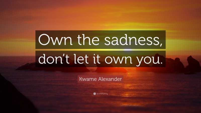 Kwame Alexander Quote: “Own the sadness, don’t let it own you.”