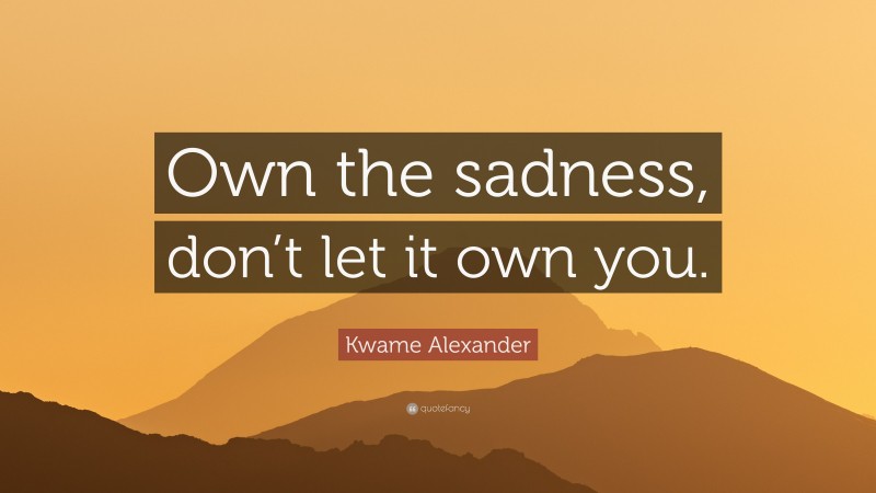 Kwame Alexander Quote: “Own the sadness, don’t let it own you.”