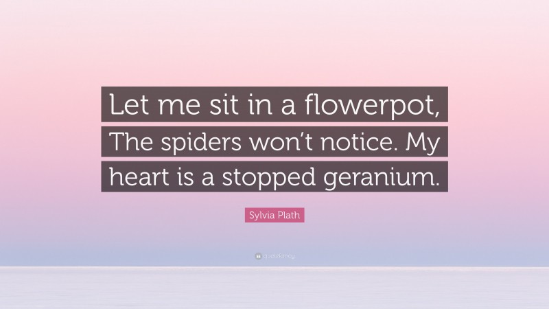 Sylvia Plath Quote: “Let me sit in a flowerpot, The spiders won’t notice. My heart is a stopped geranium.”