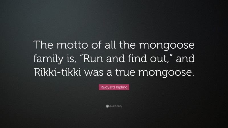 Rudyard Kipling Quote: “The motto of all the mongoose family is, “Run and find out,” and Rikki-tikki was a true mongoose.”