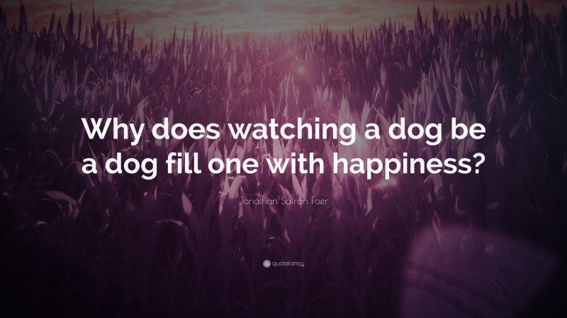 Jonathan Safran Foer Quote: “Why does watching a dog be a dog fill one with happiness?”