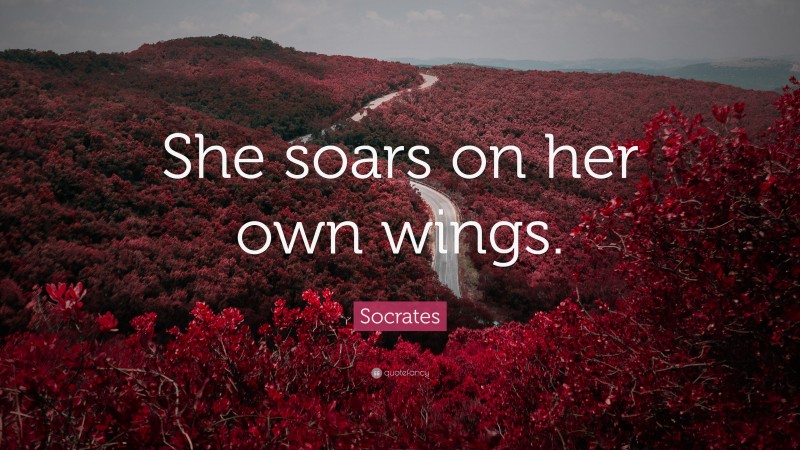 Socrates Quote: “She soars on her own wings.”
