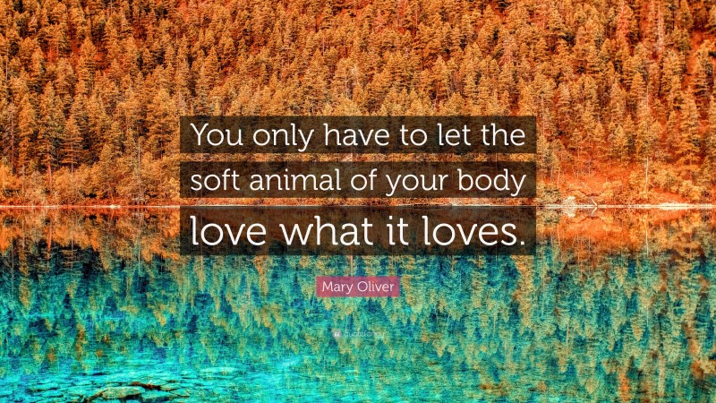 Mary Oliver Quote: “You only have to let the soft animal of your body love what it loves.”