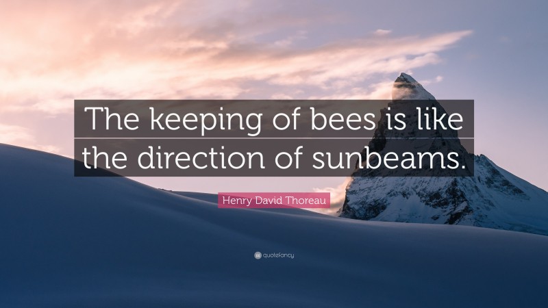 Henry David Thoreau Quote: “The keeping of bees is like the direction of sunbeams.”