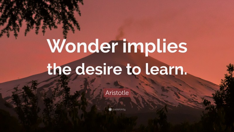 Aristotle Quote: “Wonder implies the desire to learn.”