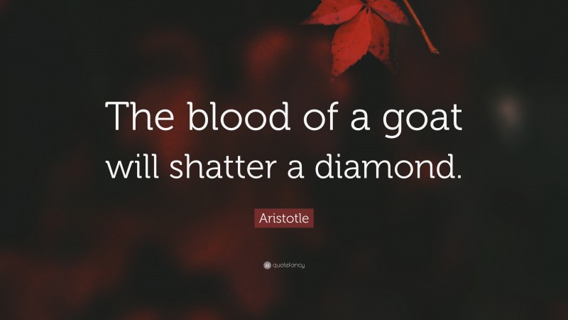 Aristotle Quote: “The blood of a goat will shatter a diamond.”