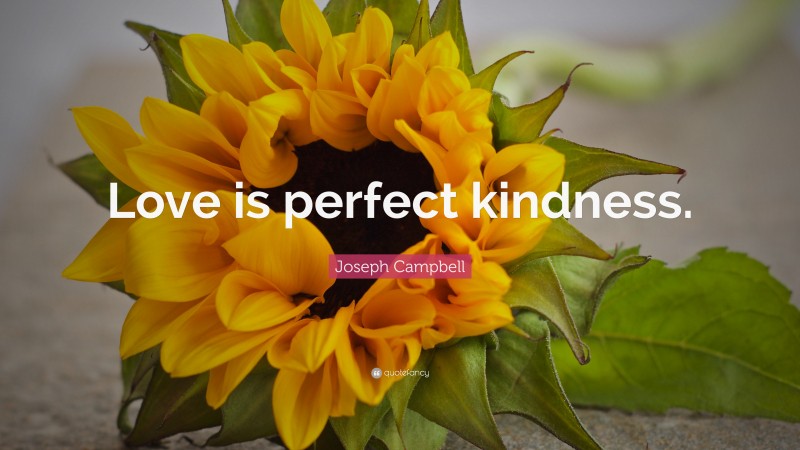 Joseph Campbell Quote: “Love is perfect kindness.”