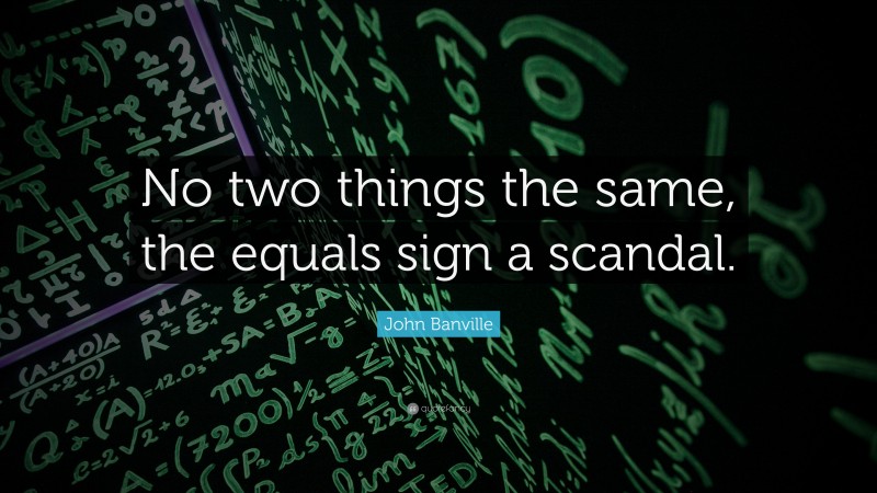 John Banville Quote: “No two things the same, the equals sign a scandal.”