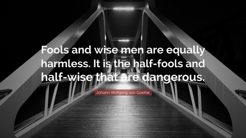 Johann Wolfgang von Goethe Quote: “Fools and wise men are equally harmless. It is the half-fools and half-wise that are dangerous.”