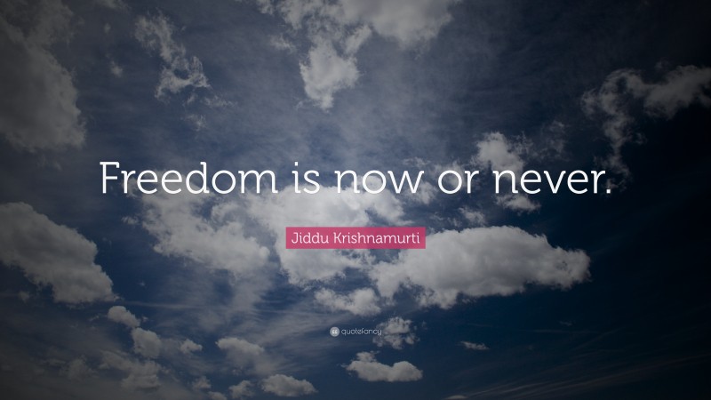 Jiddu Krishnamurti Quote: “Freedom is now or never.”