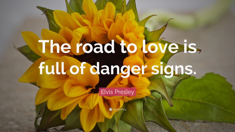 Elvis Presley Quote: “The road to love is full of danger signs.”