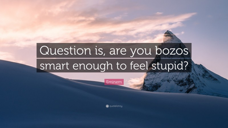 Eminem Quote: “Question is, are you bozos smart enough to feel stupid?”