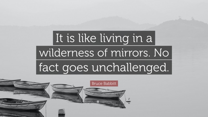 Bruce Babbitt Quote: “It is like living in a wilderness of mirrors. No fact goes unchallenged.”