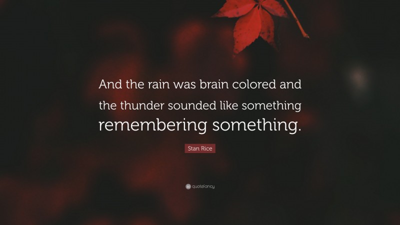 Stan Rice Quote: “And the rain was brain colored and the thunder sounded like something remembering something.”