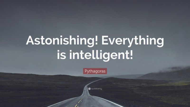 Pythagoras Quote: “Astonishing! Everything is intelligent!”