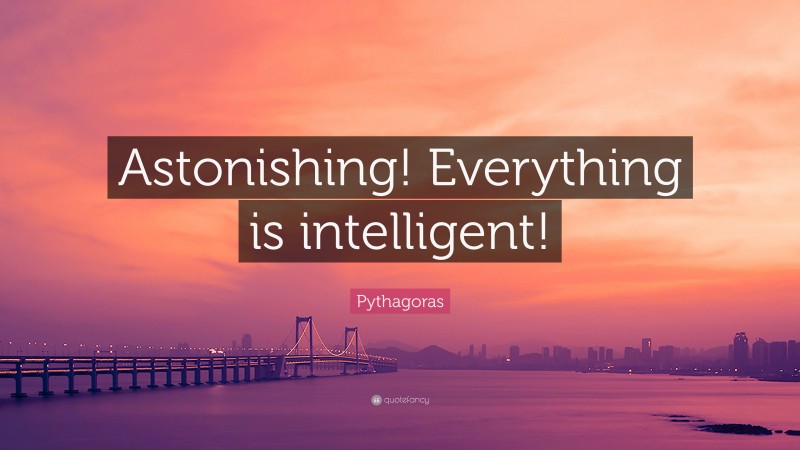 Pythagoras Quote: “Astonishing! Everything is intelligent!”