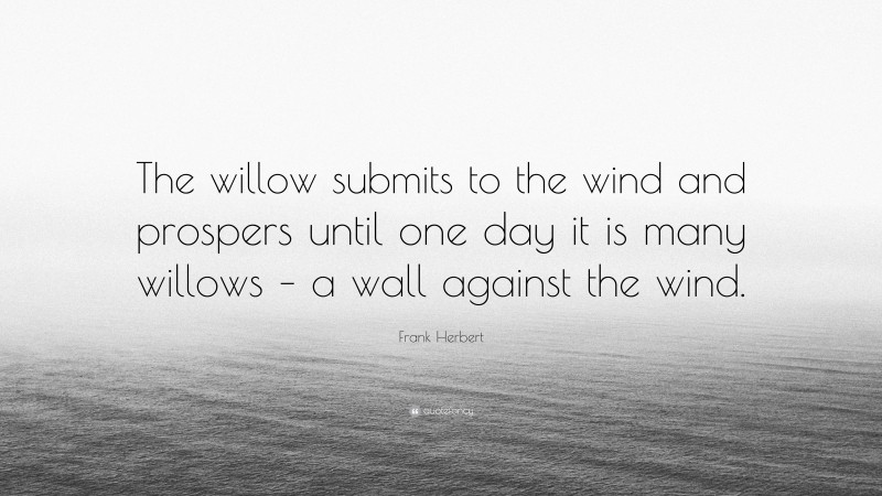 Frank Herbert Quote: “The willow submits to the wind and prospers until one day it is many willows – a wall against the wind.”