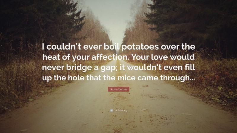 Djuna Barnes Quote: “I couldn’t ever boil potatoes over the heat of your affection. Your love would never bridge a gap; it wouldn’t even fill up the hole that the mice came through...”