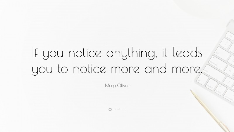 Mary Oliver Quote: “If you notice anything, it leads you to notice more and more.”