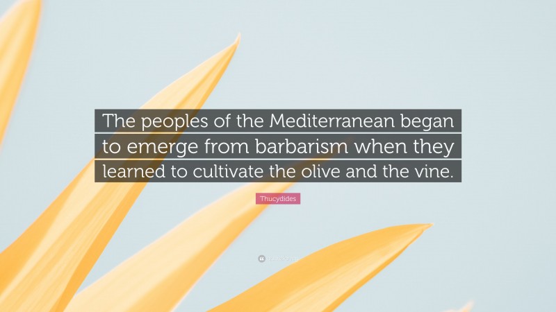 Thucydides Quote: “The peoples of the Mediterranean began to emerge from barbarism when they learned to cultivate the olive and the vine.”