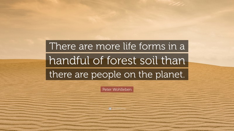Peter Wohlleben Quote: “There are more life forms in a handful of forest soil than there are people on the planet.”