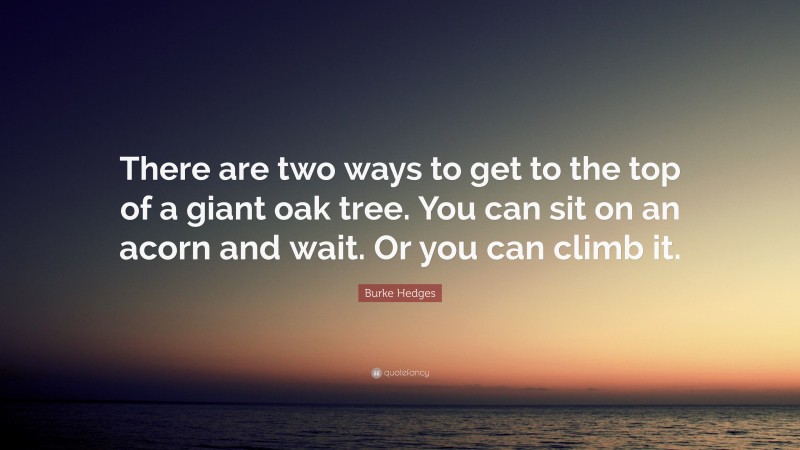 Burke Hedges Quote: “There are two ways to get to the top of a giant oak tree. You can sit on an acorn and wait. Or you can climb it.”