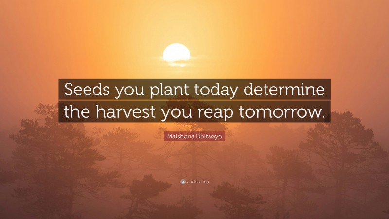 Matshona Dhliwayo Quote: “Seeds you plant today determine the harvest you reap tomorrow.”