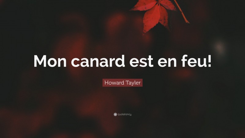 Howard Tayler Quote: “Mon canard est en feu!”
