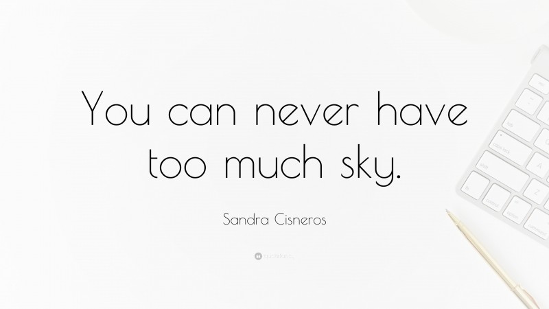 Sandra Cisneros Quote: “You can never have too much sky.”