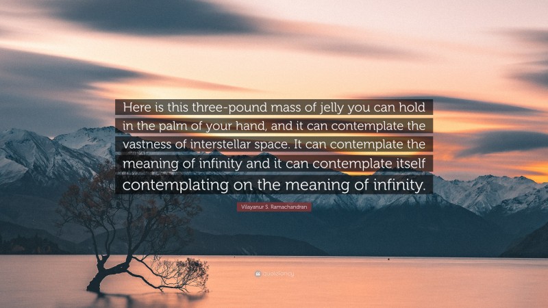 Vilayanur S. Ramachandran Quote: “Here is this three-pound mass of jelly you can hold in the palm of your hand, and it can contemplate the vastness of interstellar space. It can contemplate the meaning of infinity and it can contemplate itself contemplating on the meaning of infinity.”
