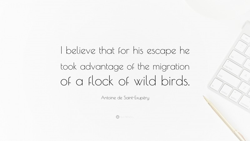 Antoine de Saint-Exupéry Quote: “I believe that for his escape he took advantage of the migration of a flock of wild birds.”
