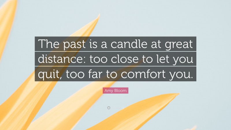 Amy Bloom Quote: “The past is a candle at great distance: too close to let you quit, too far to comfort you.”