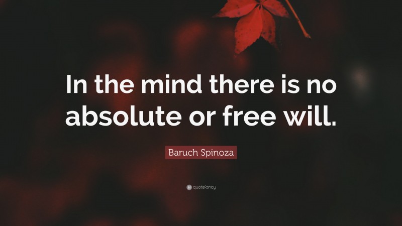 Baruch Spinoza Quote: “In the mind there is no absolute or free will.”
